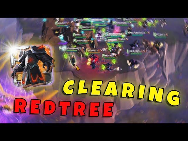 CLEARING REDTREE & FARMING ARCH !! | CHIPS | ZVZ | Albion Online ZVZ