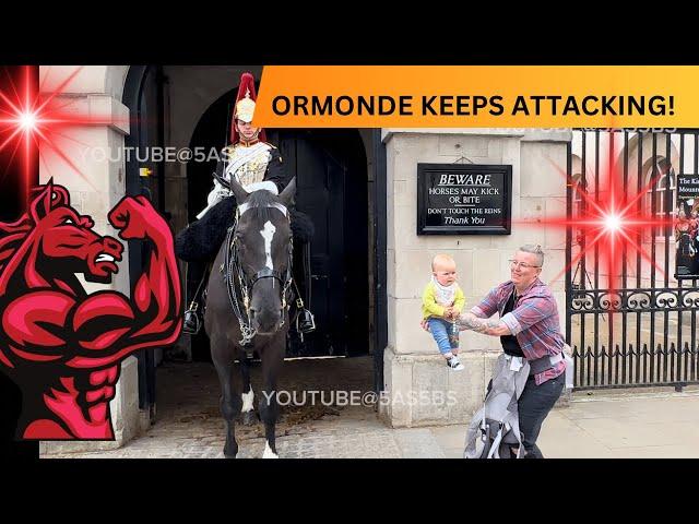 King Ormonde Keeps Attacking People. Epic Moments Horse Guards