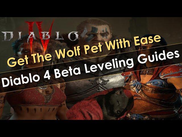 Diablo 4 Leveling Guides for All Classes in the Beta