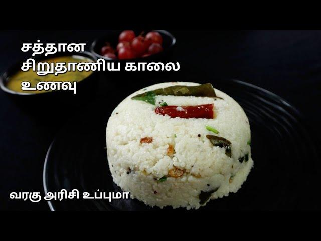 சத்து நிறைந்த காலை உணவு - வரகு அரிசி உப்புமா  || Varagu arisi recipes in tamil || Millet recipes