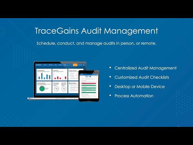 Audit Management