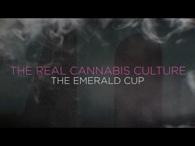 The Real Cannabis Culture