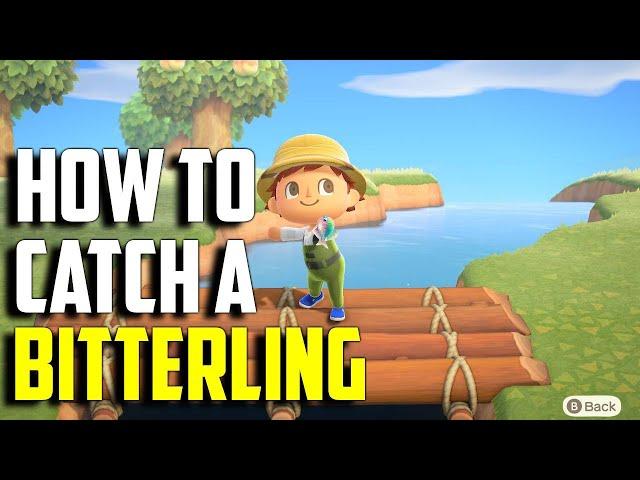 How to Catch a Bitterling | Bitterling ACNH | Bitterling Animal Crossing New Horizons | ACNH Fish