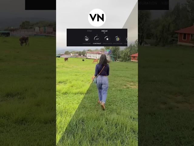 Colour Grading Tutorial in VN app | How to Colour grade in VN | How to edit videos in VN #trending