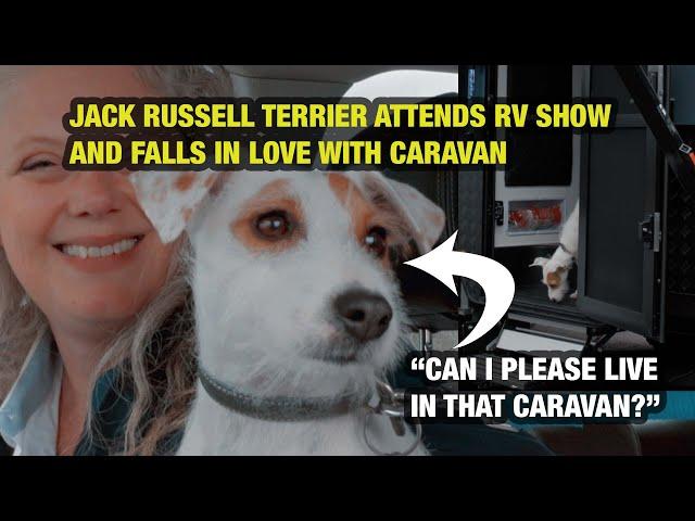 Jack Russell falls in love with RV