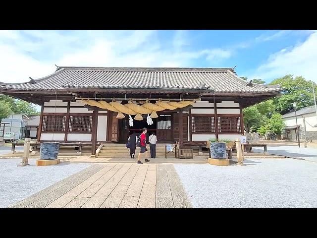 1130712【岡山縣倉敷阿智神社】讓人難以抗拒！到倉敷第一站直奔就為了超夢幻美麗特別的花纏守！^^