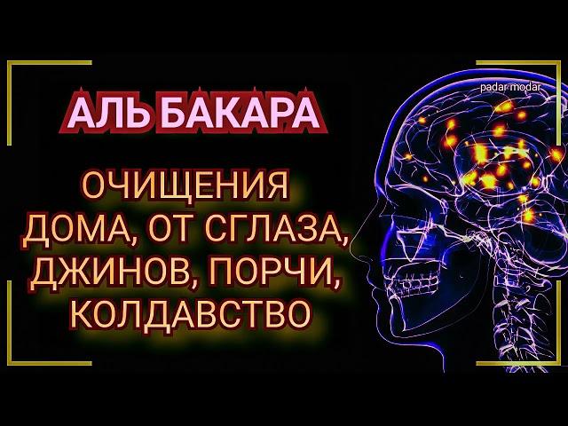 Аль Бакара, очищения домов, от джинов, шайтана, порчи и сглаза, и черной магии | Surah Al-Baqarah