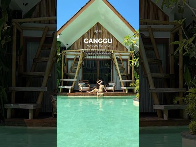  내가 사랑한 발리 짱구숙소 #데일리멜리 #발리여행 #canggu #balitravel