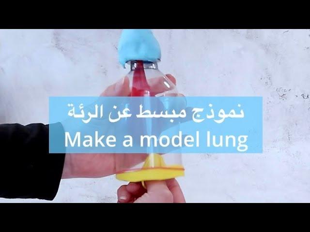 نموذج للاطفال عن الرئة  - Make a model lung