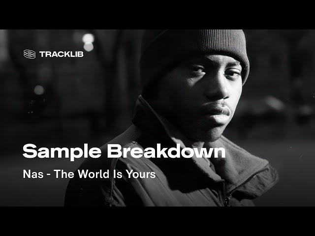 Sample Breakdown: Nas - The World Is Yours (prod by Pete Rock)