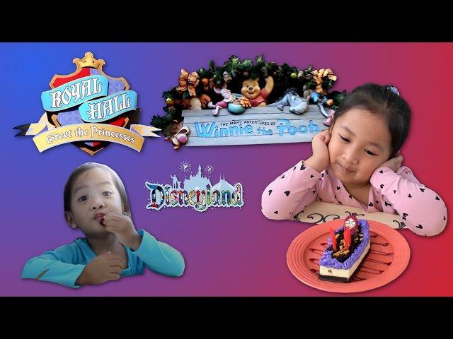 Disneyland Theme Park 2016 - Andy's 4th Birthday Celebration Disney Princesses and rides