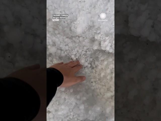 That's some HAIL! (Calgary, Alberta)