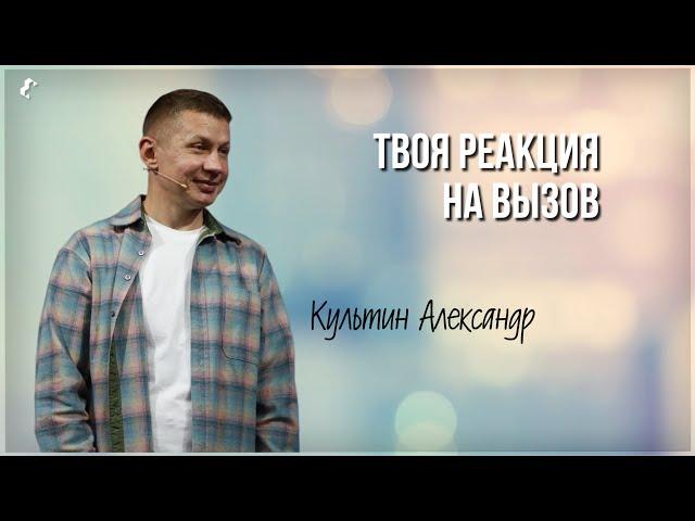 Твоя реакция на вызов / Александр Культин / 28.07.2024 г.