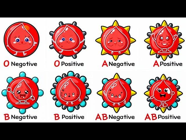 Every Blood type Explained in 5 Minutes