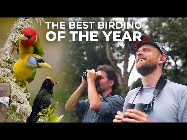 Our Top Birding Moments of 2022