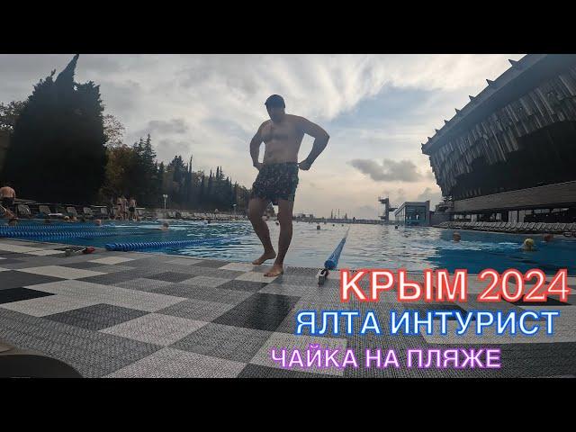 КРЫМ 2024 | ЯЛТА ИНТУРИСТ | ЧАЙКА НА ПЛЯЖЕ ️️‍️