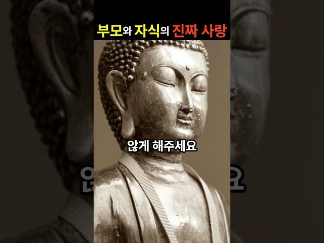부모와 자식, 진짜 사랑은 이것이다
