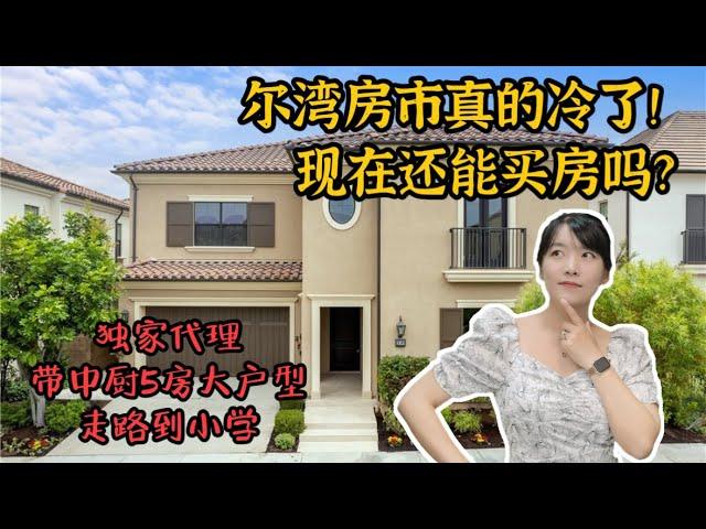 HouseTourVLOG_111 尔湾房市真的变冷了！现在还能买房吗？【独家代理】东木5房大户型，带中厨，走路到小学~|尔湾地产经纪挑挑