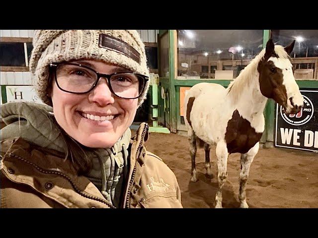 Meet The Horses - Part 9, Annabelle