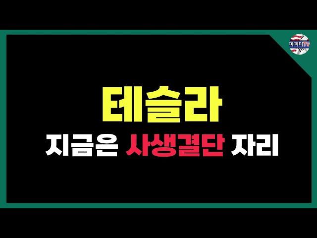 테슬라 절체 절명의 위기 상태, 트럼프와 같이 $300 돌파할 것인가? #테슬라