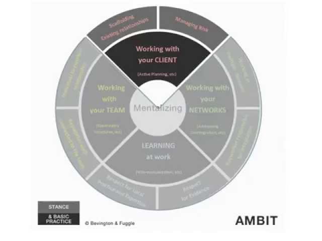 AMBIT in four minutes