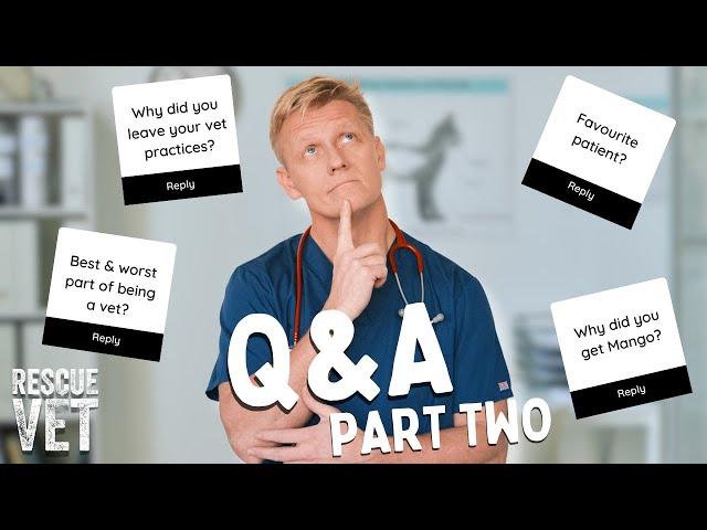 Why I got Mango, leaving my vet practices & worst part of being a vet | Q&A with Dr Scott | Part Two