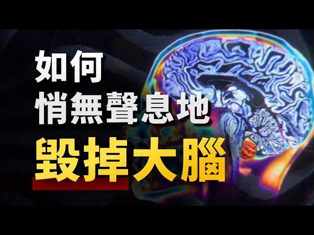 你的思維，為什麼總是「卡機」？硬核腦科學，揭開年輕人大腦混亂的四大元兇