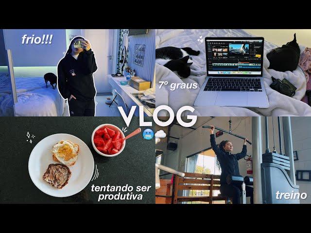 vlog: tentando seguir minha rotina no frio ️ 