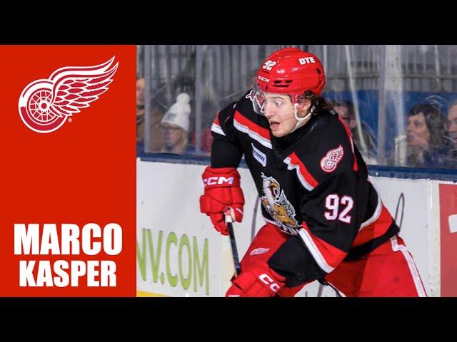 NHL Prospects : Marco Kasper - 23-24 Highlights