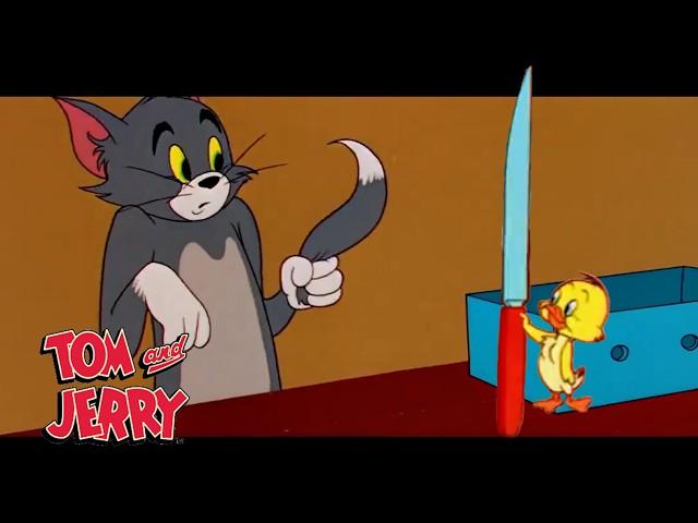 Tom & Jerry going feral | @GenerationWB