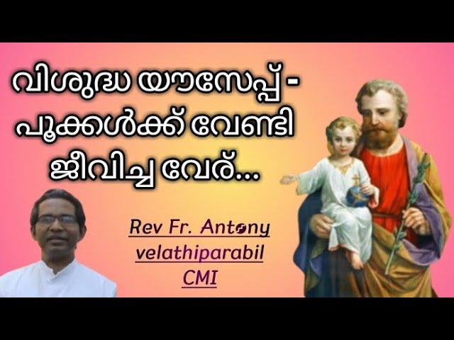 വിശുദ്ധ യൗസേപ്പ്  - പൂക്കൾക്ക് വേണ്ടി  ജീവിച്ച വേര്......