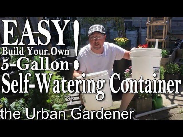 How to Build 5-Gallon Wicking Buckets REVISITED | + Q&A