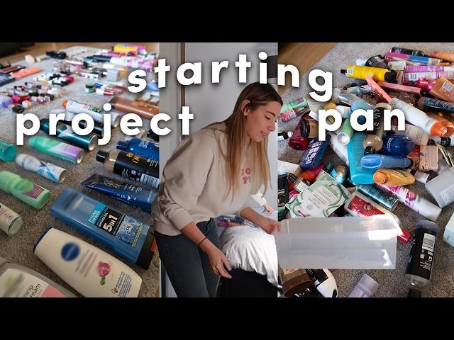 Starting Project Pan | Becoming a minimalist