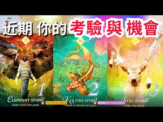 「危機 & 機遇」近期將會發生的 挑戰｜運命為你帶來的轉機 有字幕 無時間限制占卜 #塔羅 #占卜#tarotReading #oracle #PickaCard #婚姻 #愛 #事業 #工作