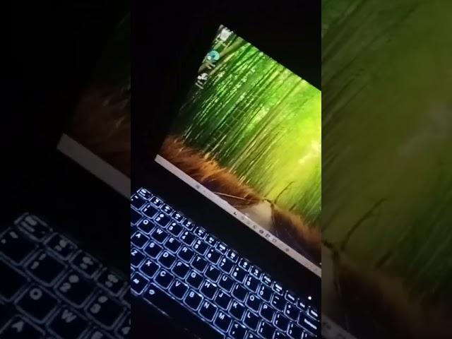#CM Punjab laptop ️#Maryam Nawaz # Keyboard lights #Illusion