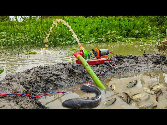 Fishing Exciting Science Project Using Mini Water Pump - Water Pump Fishing From Field