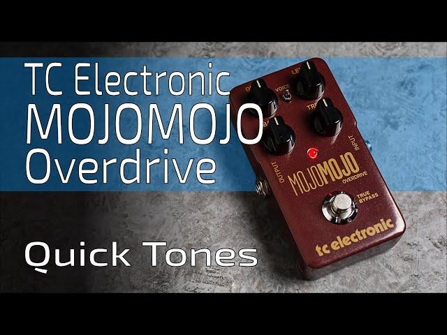 TC Electronic MOJOMOJO Overdrive - Quick Tones (no talk)