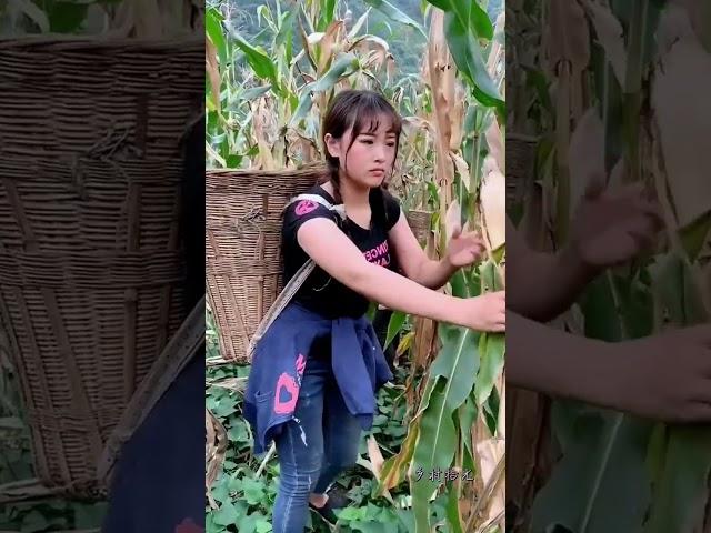 这就是农村姑娘的生活，如果你刷到了我，就花点时间翻翻我的作品吧，希望可以治愈你的心情！#农村#农村生活#三农
