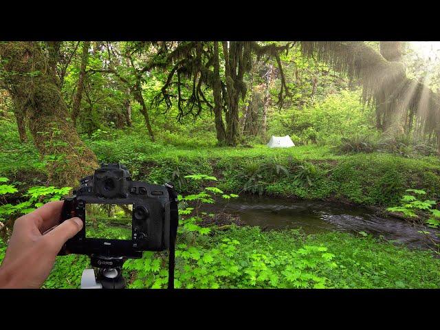  3 TIPS for BETTER FOREST PHOTOGRAPHY | Landscape Photography Tips