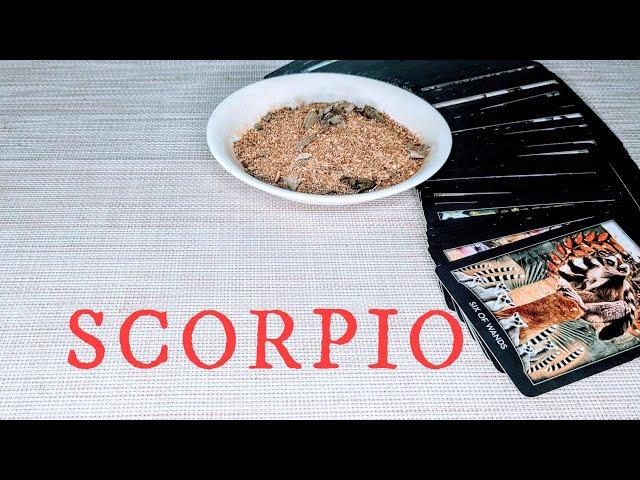 SCORPIO - This is Your Moment! Everything is Working Out in Your Favour! NOVEMBER 4th-10th