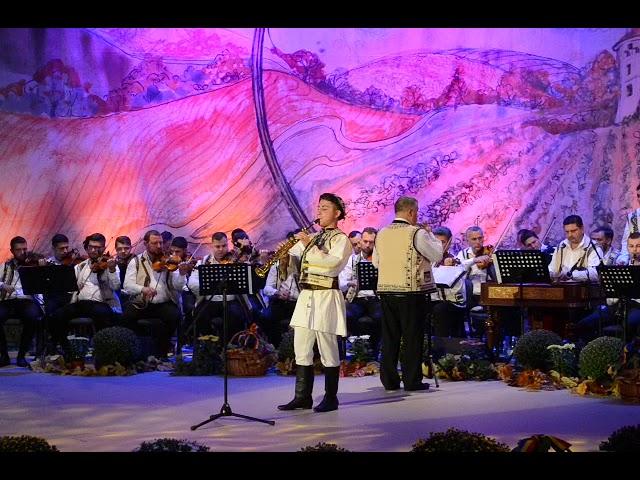 Călin Alexandru Ioan, la Festivalul Național Strugurele de Aur 2019