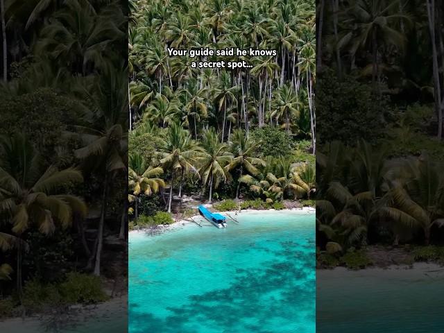 New core memory… unlocked  #travelshorts #sulawesi