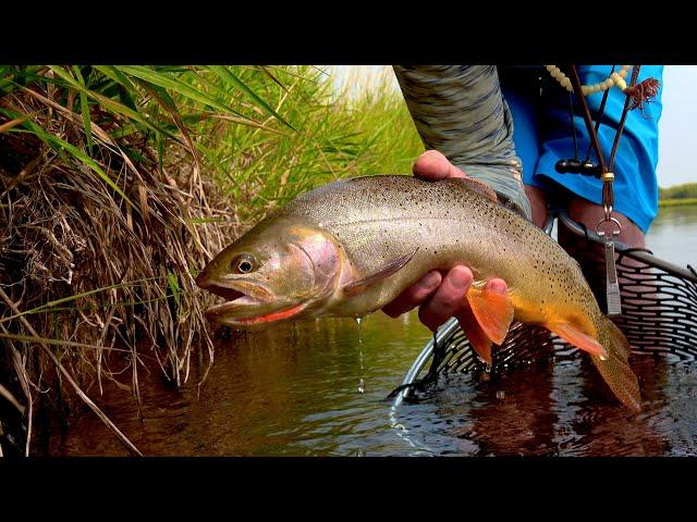 Guides Day Off in Idaho - Technical Dry Fly Fishing to big Cutthroat