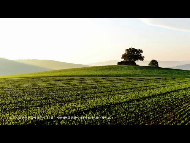 [ 2h Repeat ] 바흐 (Bach) _ 플루트와 현을 위한 협주곡 ( Concerto for Flute and Strings _ 2nd Mov / BWV 1056)