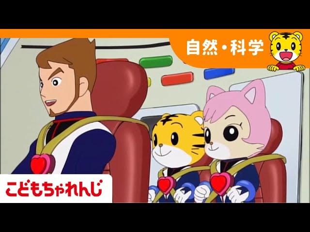 うんちが出るしくみ　ふしぎしらべたい【しまじろうチャンネル公式】