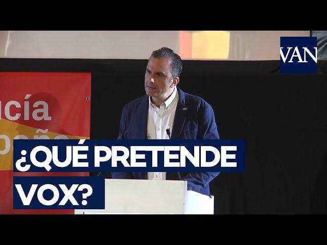 [ELECCIONES ANDALUCÍA] ¿Qué dice el programa de Vox?