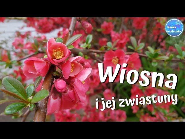 Wiosna - zwiastuny, oznaki wiosny - film edukacyjny dla dzieci