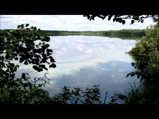 Водные сокровища родного края