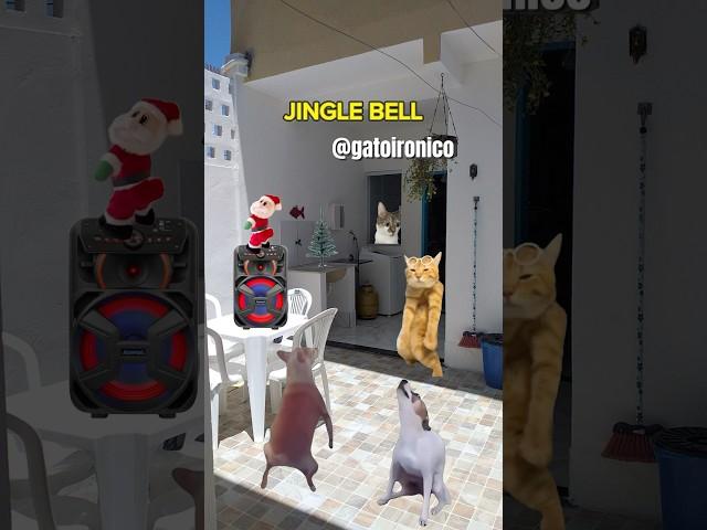 JINGLE BELL