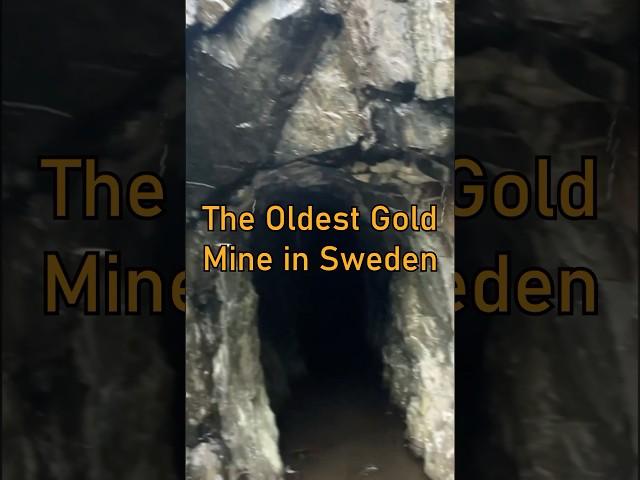 Gold Mining at a 300-Year-Old Swedish Mine! #shorts